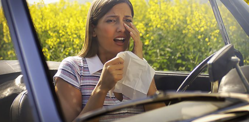 ▷How Your Dirty Car Makes Your Allergies Worse In San Diego