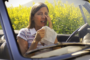 How Your Dirty Car Makes Your Allergies Worse In San Diego