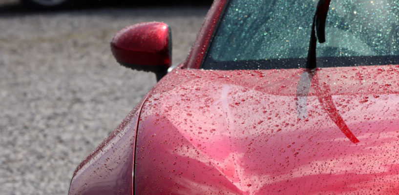 ▷3 Reasons Why You Should Wash Your Car After It Rains In San Diego