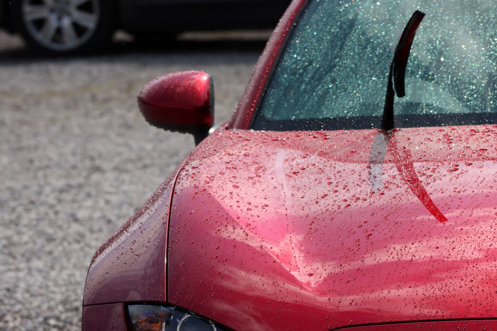 3 Reasons Why You Should Wash Your Car After It Rains In San Diego